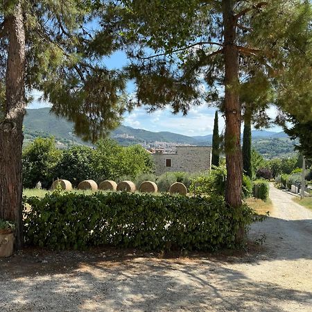L'Antico Seminario Guest House Spoleto Exterior photo