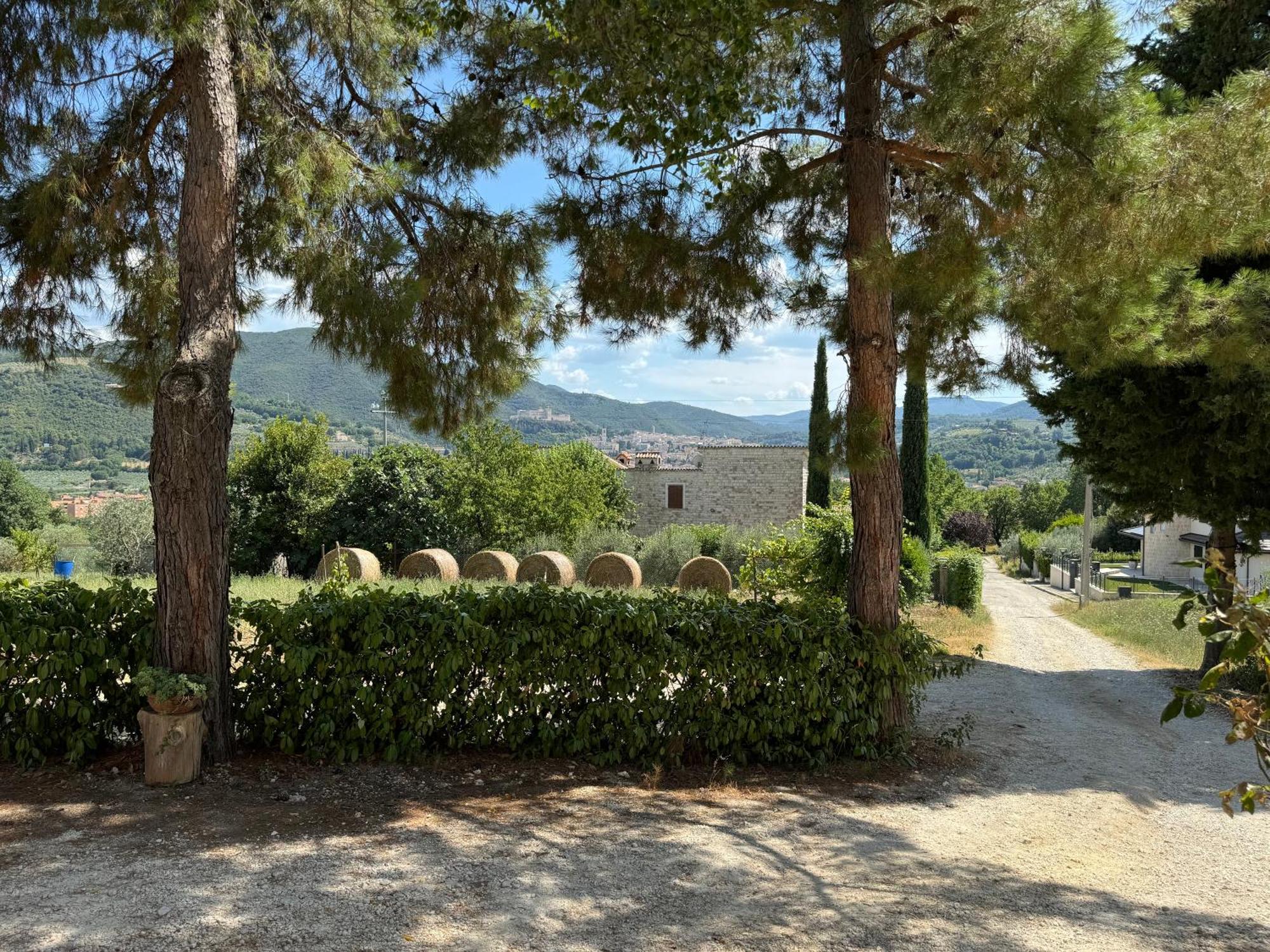 L'Antico Seminario Guest House Spoleto Exterior photo