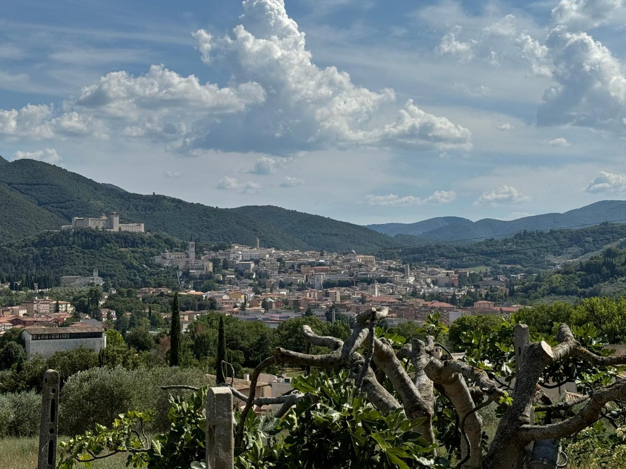 L'Antico Seminario Guest House Spoleto Exterior photo